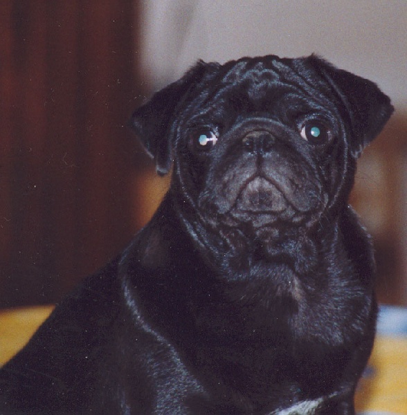 Armonie des Jardins de Campreal